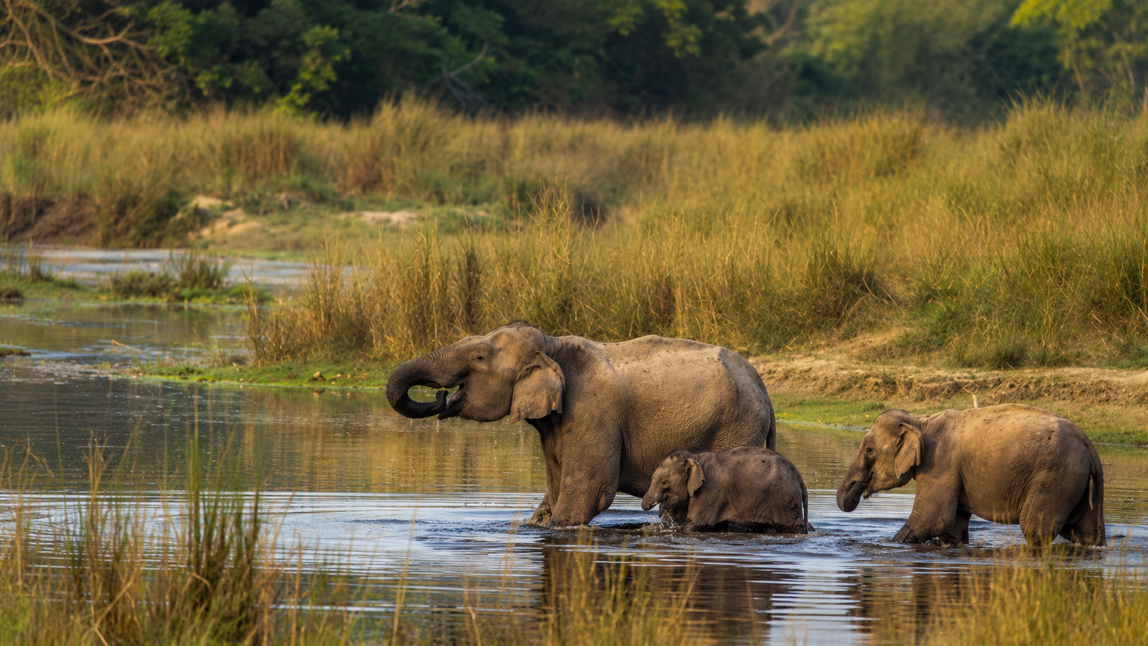 Kathmandu to Chitwan Safari Tour