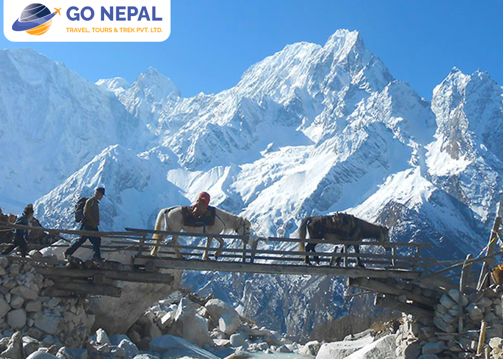 Best Time to Go Trekking in Nepal: A Month-by-Month Breakdown