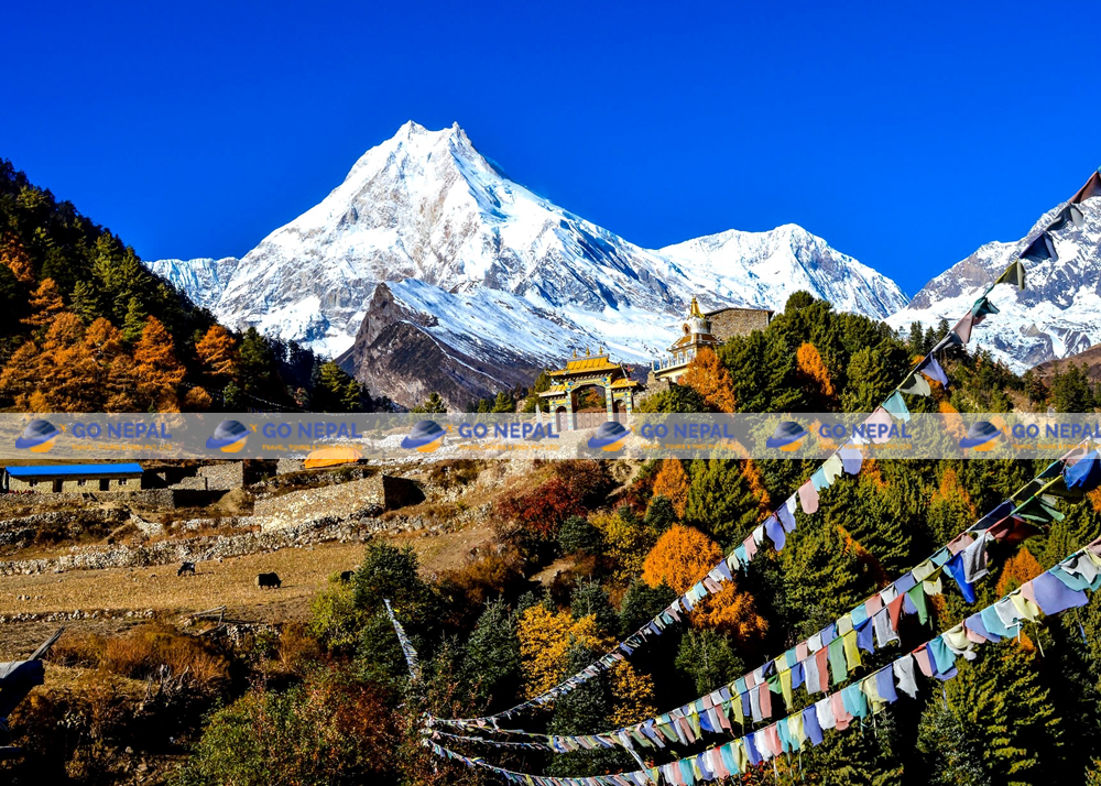 Cultural Festivals in Nepal: When and Where to Experience Them