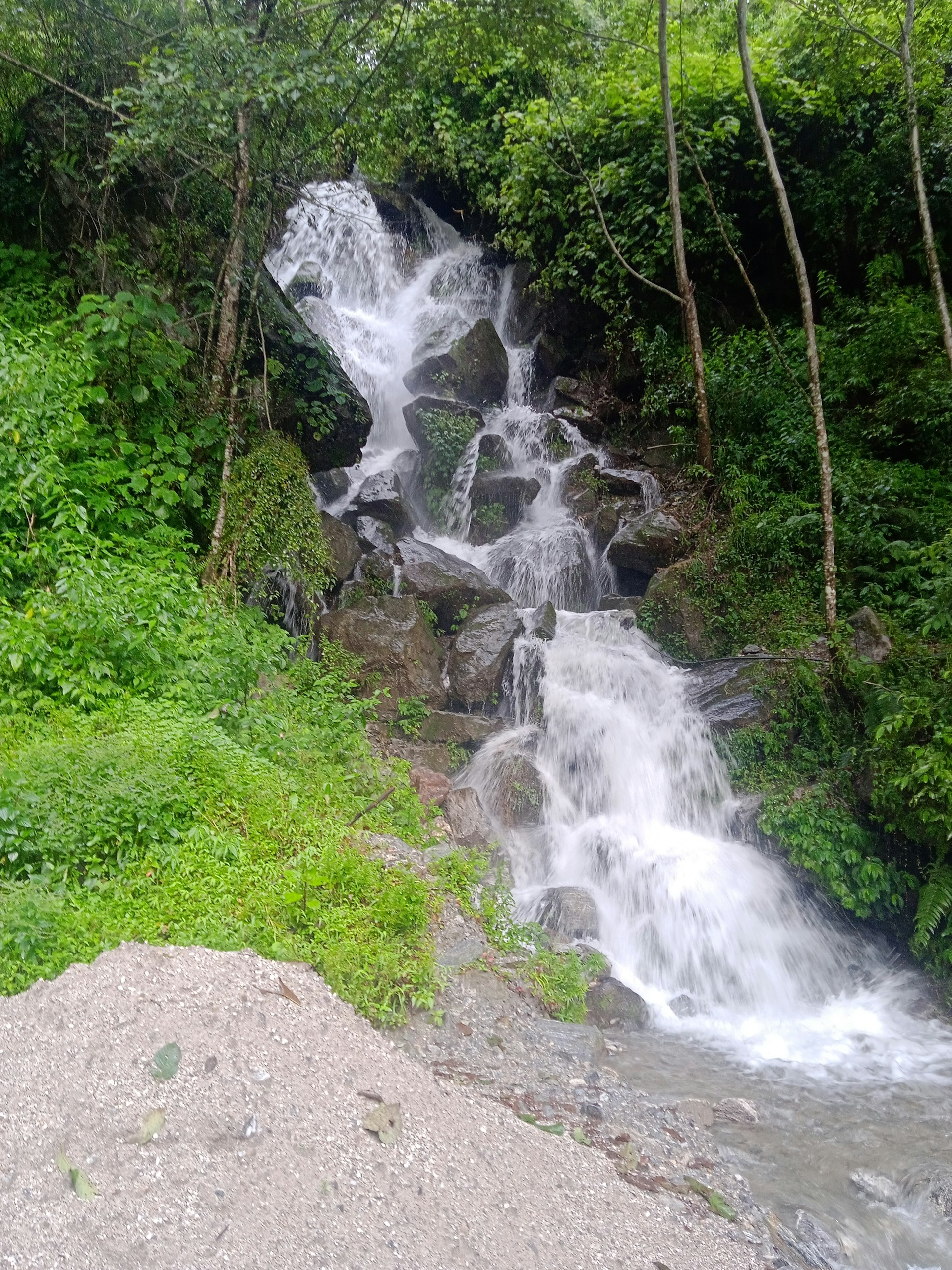 Day 15 - Chumling to Philim (1,570m/5,103ft): 6-7 hours